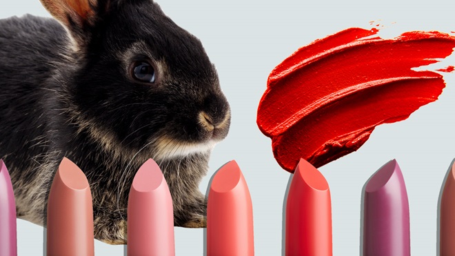 small rabbit and row of lipsticks